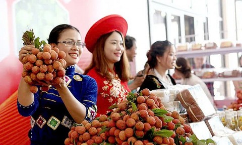 Phát triển sản phẩm OCOP: Khơi dậy tiềm năng, lợi thế địa phương