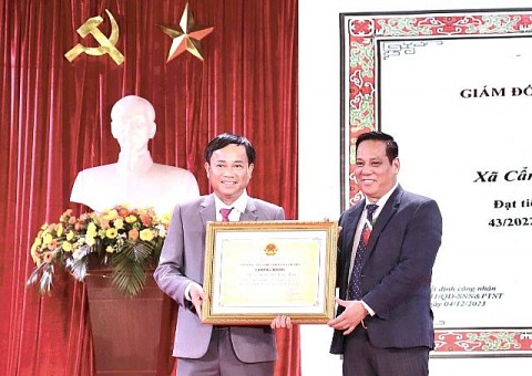 Hội An đón nhận “Nghề làm nhà tre, dừa ở Cẩm Thanh” danh hiệu Di sản Văn hóa phi vật thể Quốc gia
