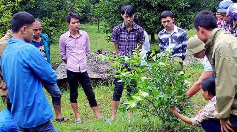 Đoàn viên thanh niên trong giờ thực hành chăm sóc cây ăn quả Đoàn viên thanh niên trong giờ thực hành chăm sóc cây ăn quả