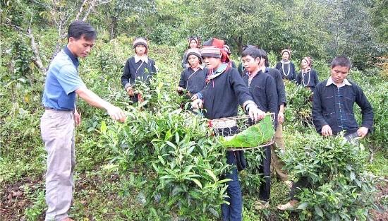 Lạng Sơn: Đào tạo nghề cho lao động nông thôn Lạng Sơn: Đào tạo nghề cho lao động nông thôn