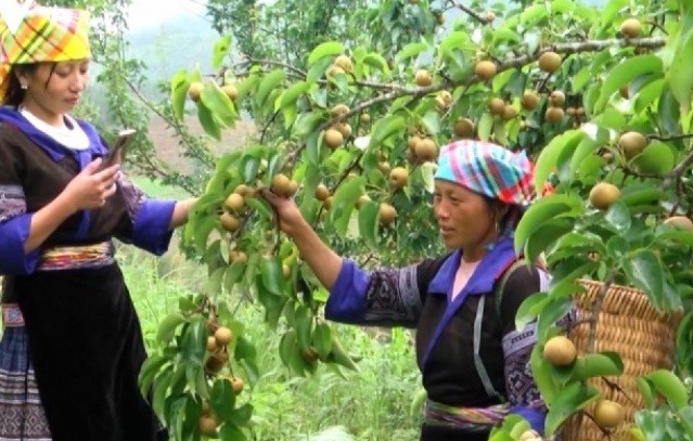Lạng Sơn: Đào tạo nghề cho lao động nông thôn Lạng Sơn: Đào tạo nghề cho lao động nông thôn