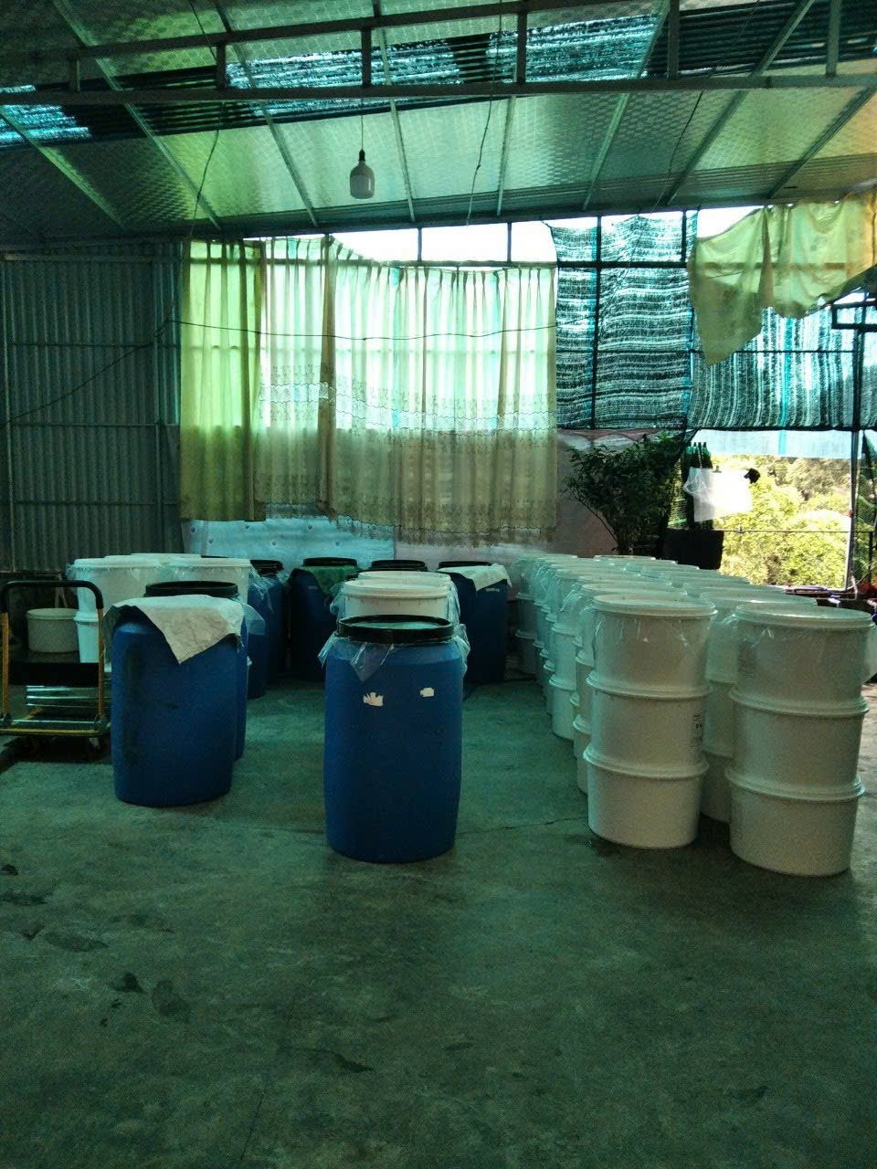 Rượu Lừng Hồng -  Tinh hoa giá trị truyền thống từ hạt lúa nếp thơm Thái Bình