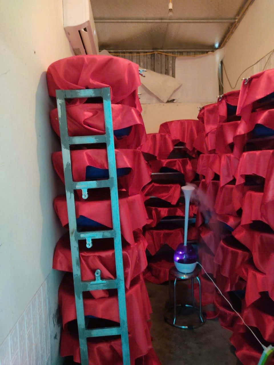 Rượu Lừng Hồng -  Tinh hoa giá trị truyền thống từ hạt lúa nếp thơm Thái Bình