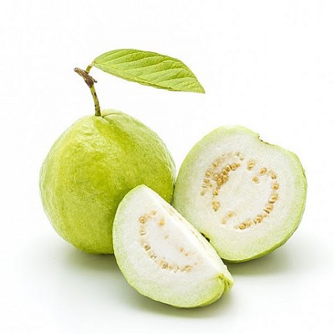 ha nam enhance the value of ocop guava products