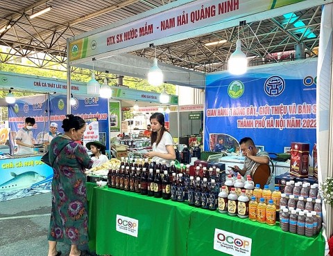 hoi cho ocop khu vuc dong bac quang ninh 2024 co 257 gian hang tham gia