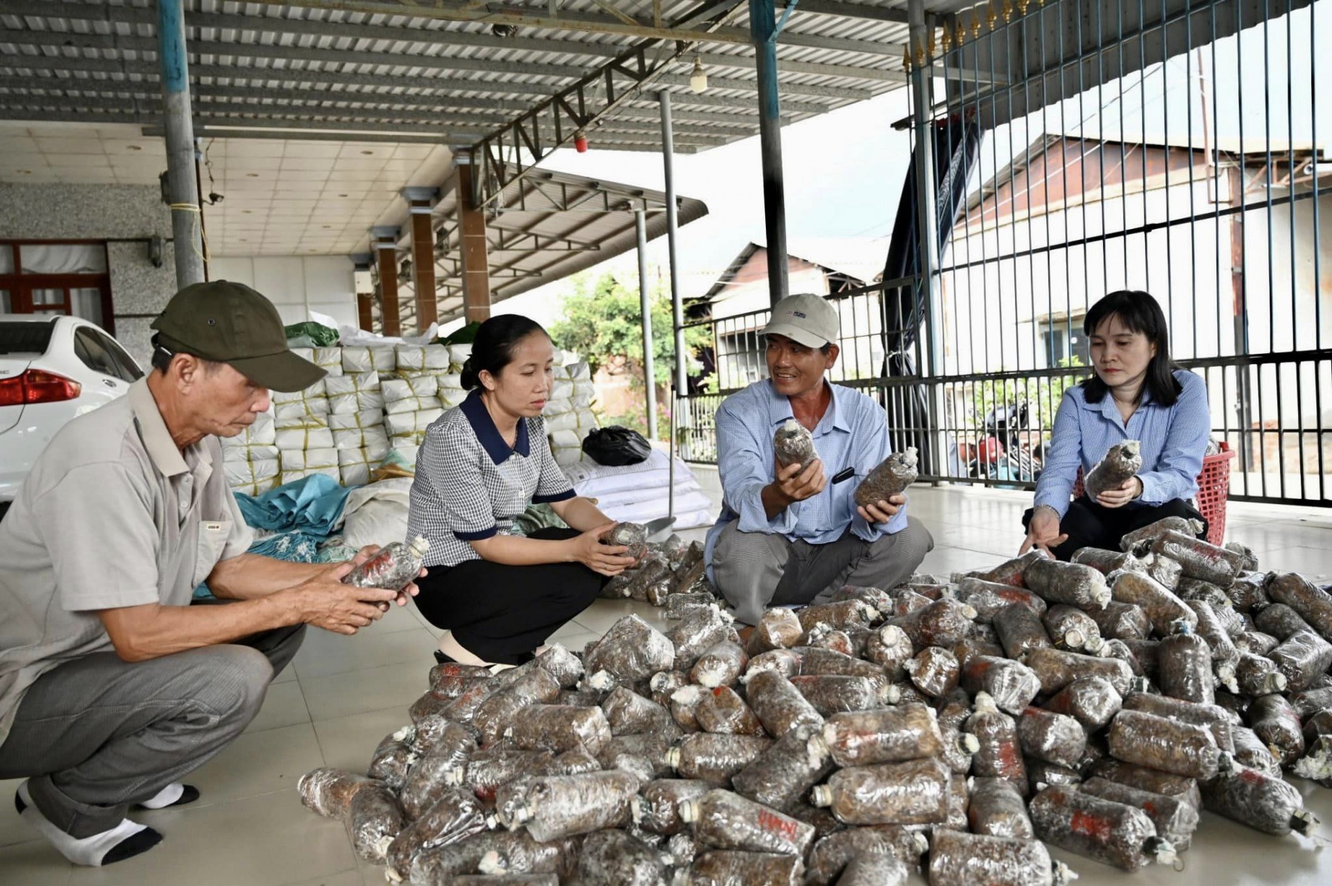 Người nông dân làm giàu nghề sản xuất meo nấm rơm