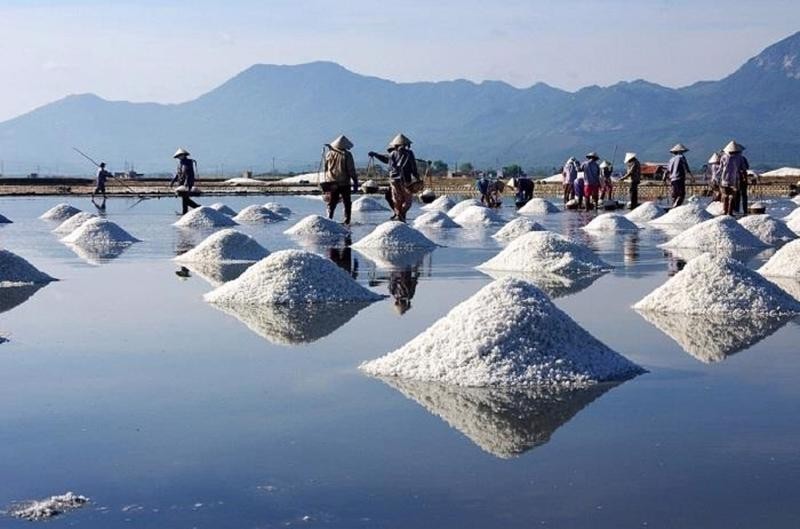 Bạc Liêu: Festival nghề muối Việt Nam năm 2024