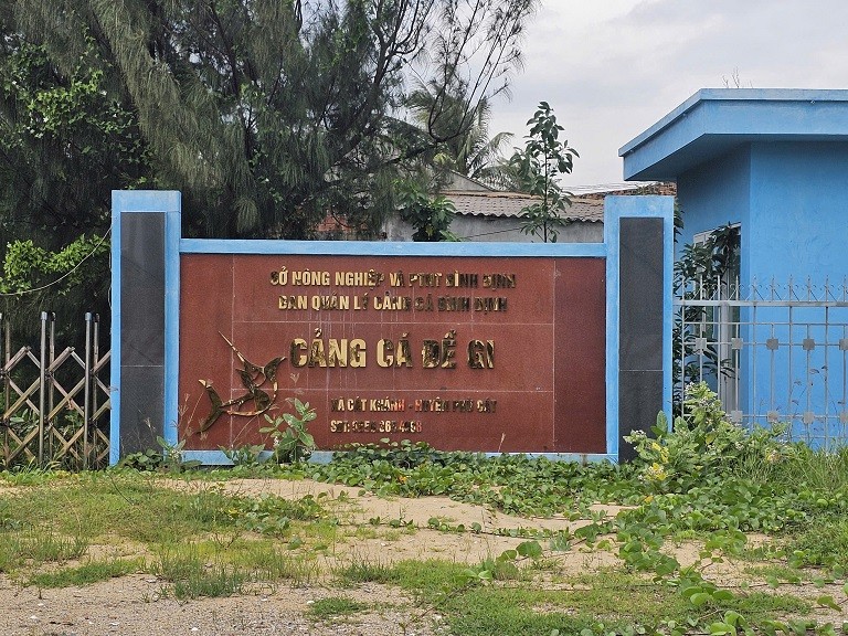 Bình Định: Đến cảng cá Đề Gi, người dân vẫn đảm bảo nguồn sinh kế Bình Định: Đến cảng cá Đề Gi, người dân vẫn đảm bảo nguồn sinh kế