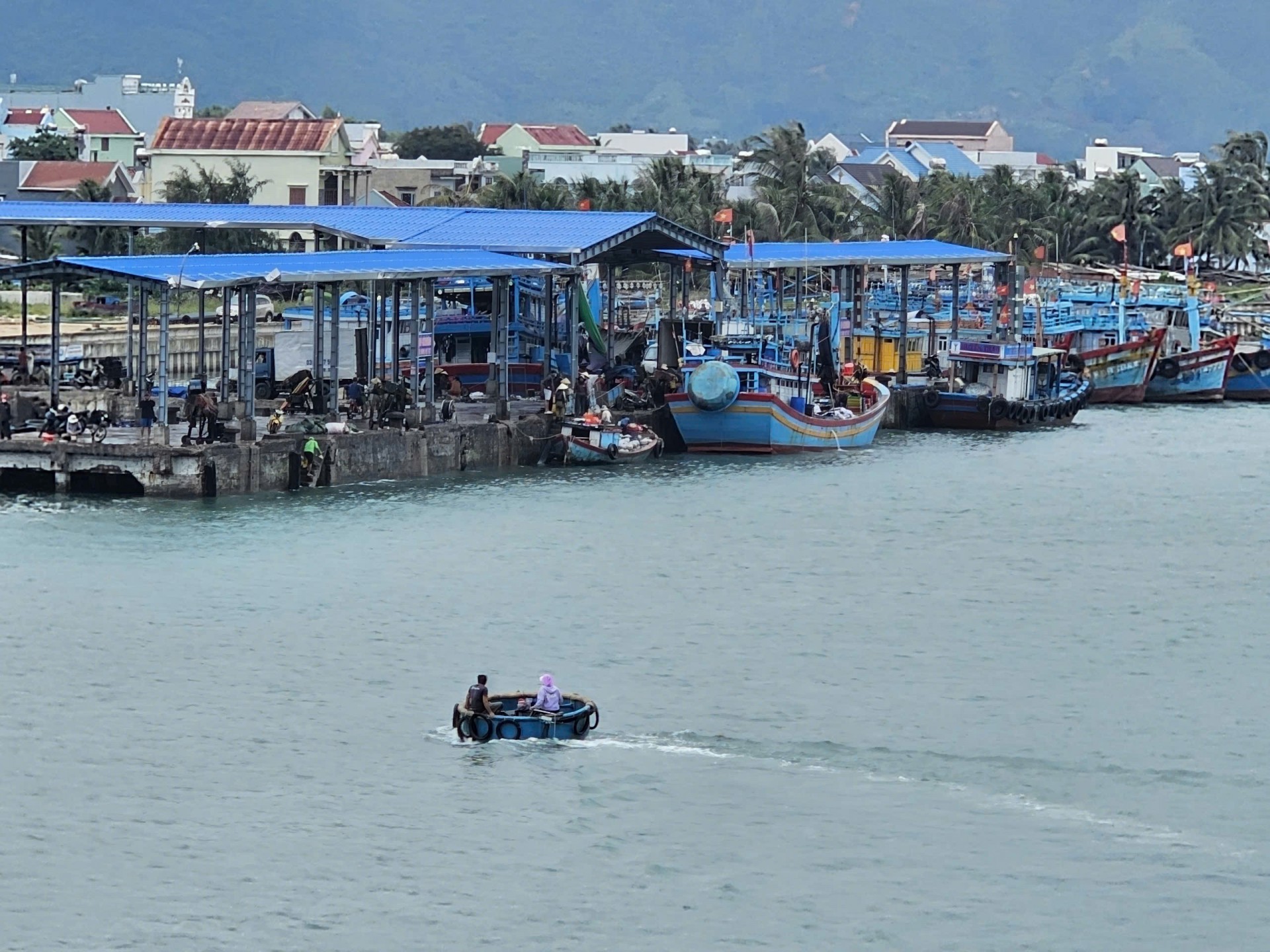 Bình Định: Đến cảng cá Đề Gi, người dân vẫn đảm bảo nguồn sinh kế Bình Định: Đến cảng cá Đề Gi, người dân vẫn đảm bảo nguồn sinh kế