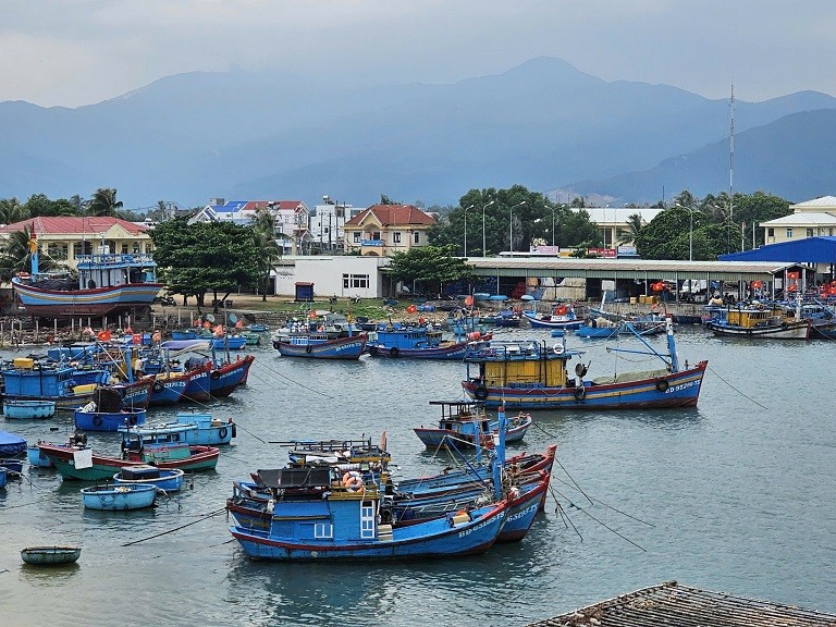Bình Định: Đến cảng cá Đề Gi, người dân vẫn đảm bảo nguồn sinh kế Bình Định: Đến cảng cá Đề Gi, người dân vẫn đảm bảo nguồn sinh kế