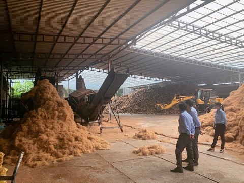 Khuyến công Bến Tre: Triển khai hiệu quả các đề án khuyến công