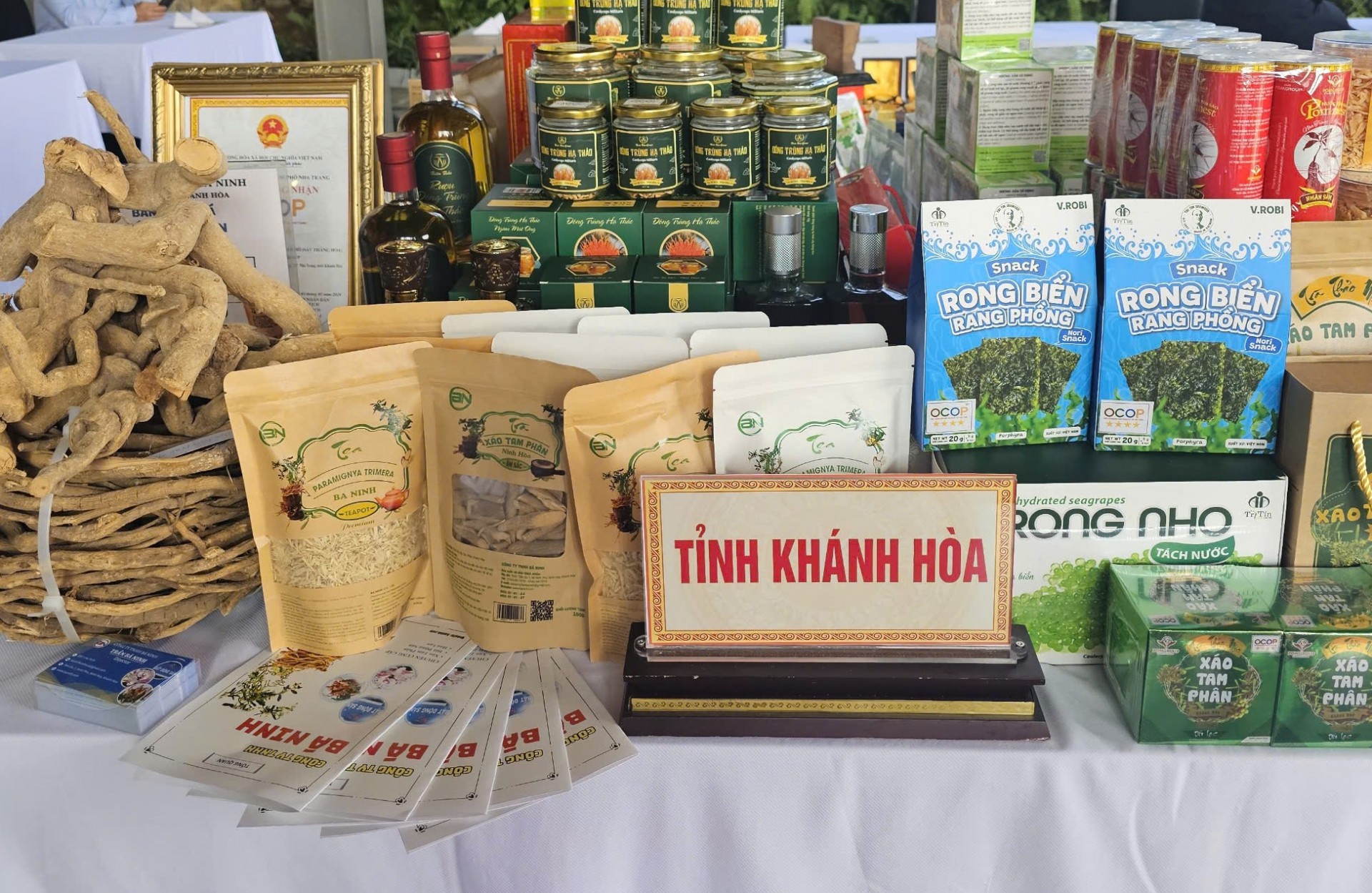 TP Hồ Chí Minh và các tỉnh Vùng Duyên hải Trung bộ hợp tác xúc tiến đầu tư