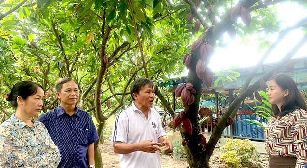 Xuân Lộc huyện đầu tiên của Đồng Nai đạt chuẩn về xây dựng nông thôn mới nâng cao Xuân Lộc huyện đầu tiên của Đồng Nai đạt chuẩn về xây dựng nông thôn mới nâng cao