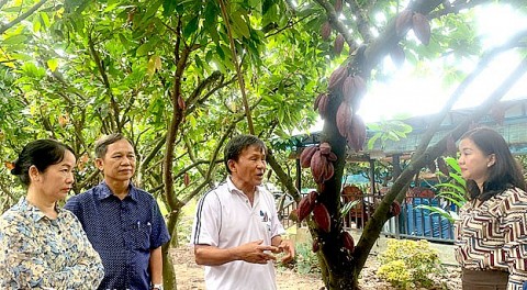 Xuân Lộc huyện đầu tiên của Đồng Nai đạt chuẩn về xây dựng nông thôn mới nâng cao