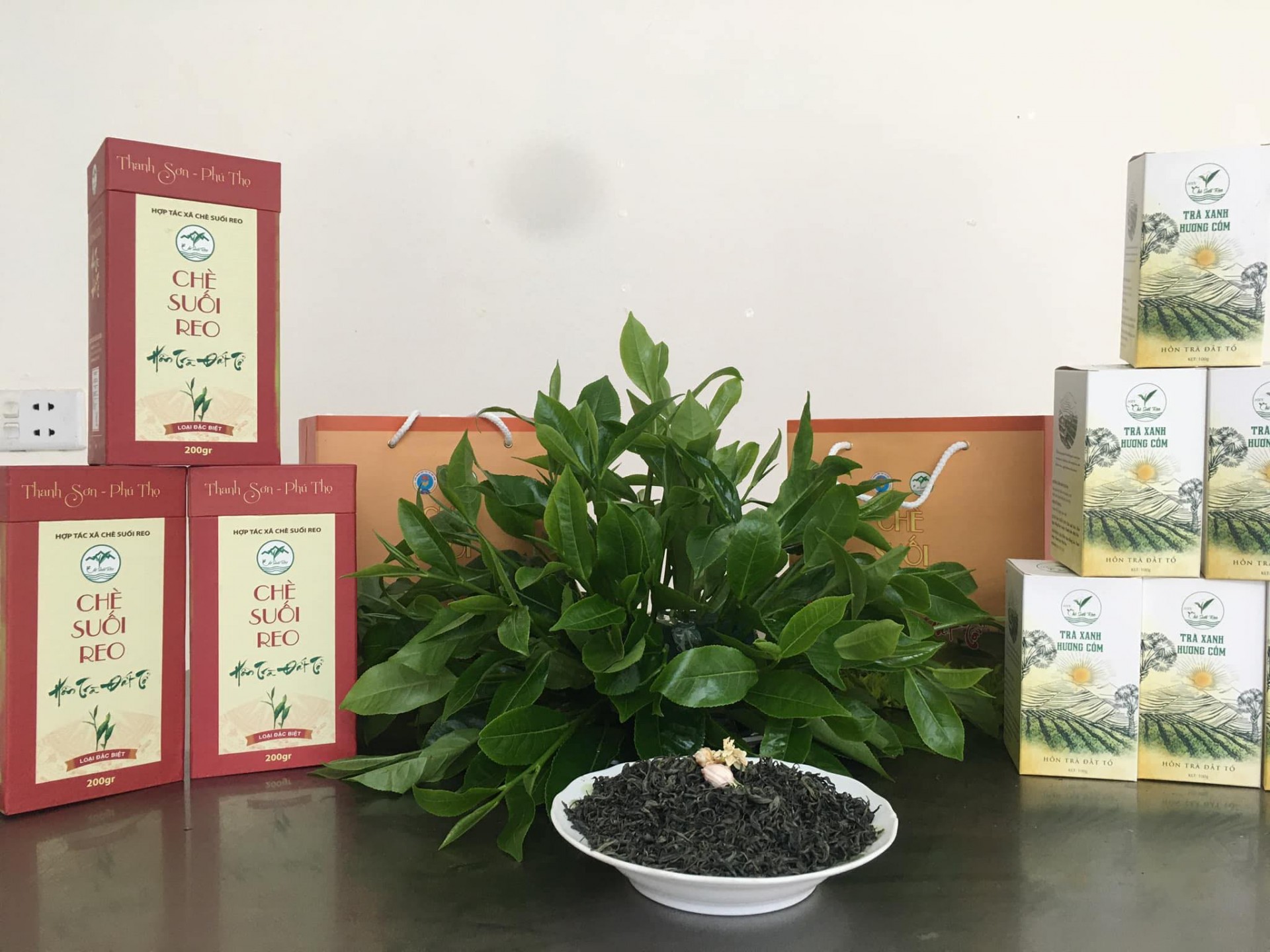 Phát triển du lịch sinh thái với tiềm năng từ nghề sản xuất chè Phát triển du lịch sinh thái với tiềm năng từ nghề sản xuất chè