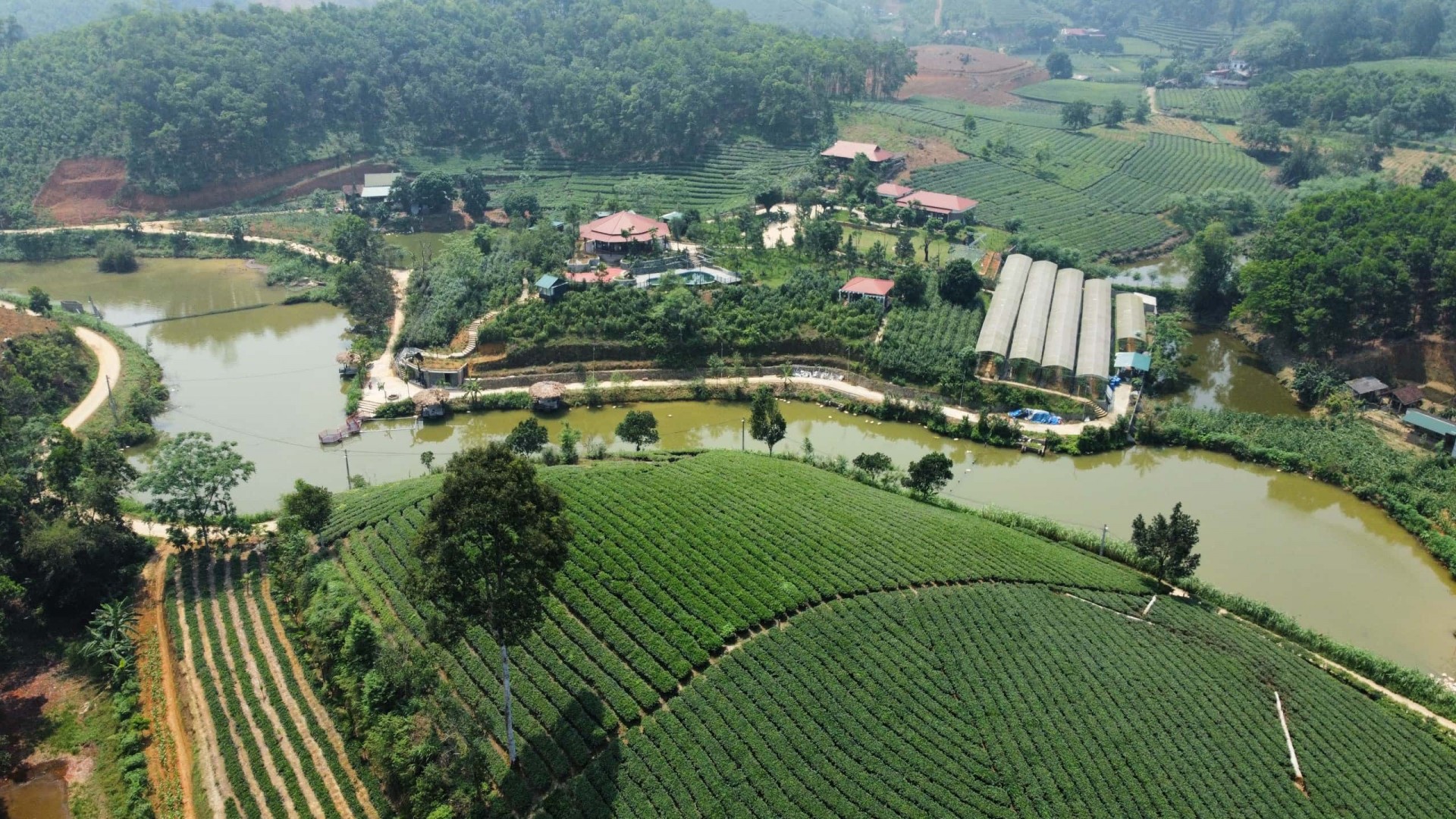 Phát triển du lịch sinh thái với tiềm năng từ nghề sản xuất chè Phát triển du lịch sinh thái với tiềm năng từ nghề sản xuất chè