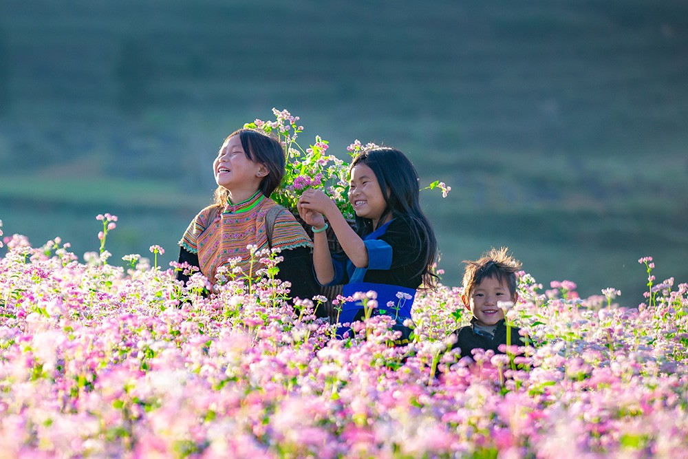 Lễ hội Hoa tam giác mạch Hà Giang