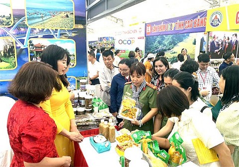 quang binh bo tri tren 11 ty dong chuong trinh ocop