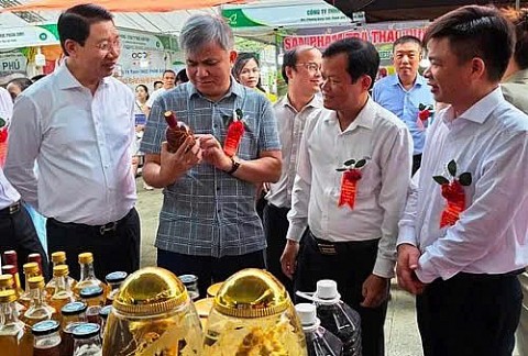 Thanh Hóa: Khai trương trưng bày, giới thiệu sản phẩm nông sản, thực phẩm an toàn năm 2024