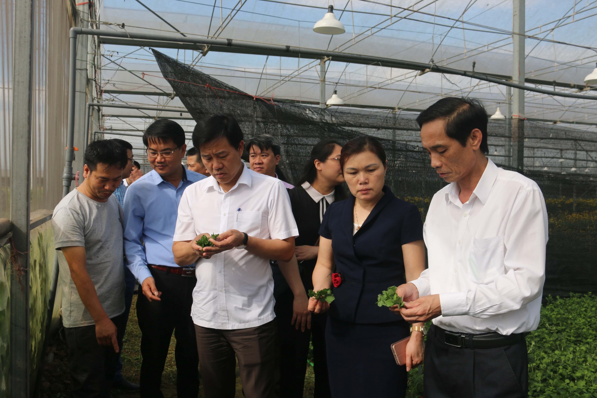 Hoạt động khuyến nông tích cực phát huy hiệu quả sau khi sát nhập các trạm Hoạt động khuyến nông tích cực phát huy hiệu quả sau khi sát nhập các trạm