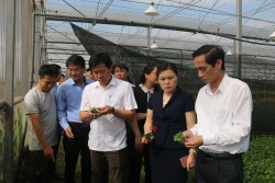 Hoạt động khuyến nông tích cực phát huy hiệu quả sau khi sát nhập các trạm