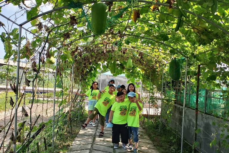 Bình Định: Mô hình du lịch canh nông thu hút khách du lịch Bình Định: Mô hình du lịch canh nông thu hút khách du lịch