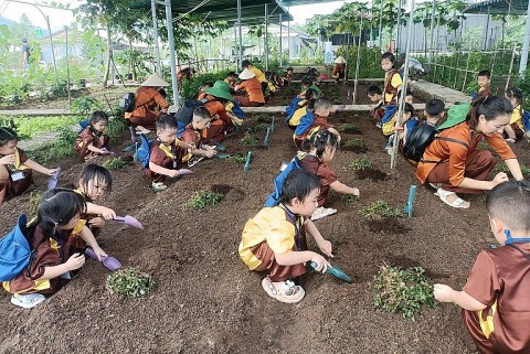 binh dinh mo hinh du lich canh nong thu hut khach du lich