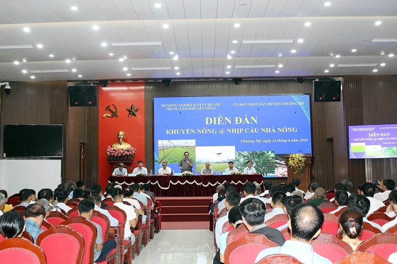 Nâng cao kỹ thuật canh tác, chăn nuôi cho nông dân huyện Chương Mỹ