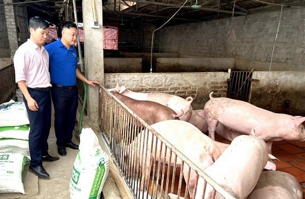 Gia Lâm: 250 đại biểu đại diện cho các hộ nông dân tham gia Diễn đàn Nhịp cầu nhà nông