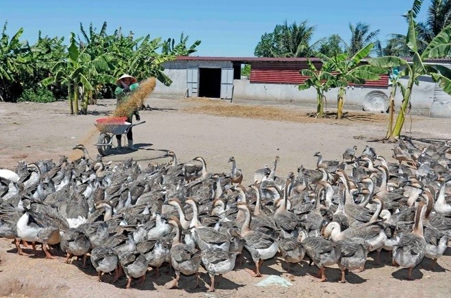 Trên 297.000 tỷ đồng ngân sách cho Chương trình xây dựng nông thôn mới Trên 297.000 tỷ đồng ngân sách cho Chương trình xây dựng nông thôn mới