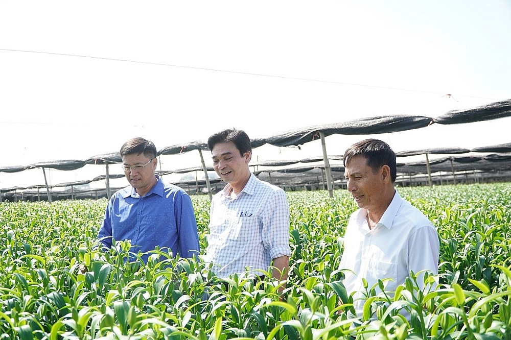 Mê Linh: Tập trung sản xuất vụ Đông năm 2024. Mê Linh: Tập trung sản xuất vụ Đông năm 2024.