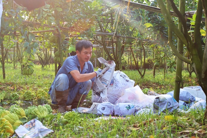 Những kết quả đạt được trong 9 tháng đầu năm 2024 của khuyến nông Hà Nội Những kết quả đạt được trong 9 tháng đầu năm 2024 của khuyến nông Hà Nội