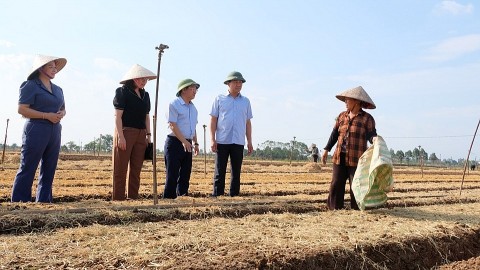 khuyen nong ha noi dong hanh cung nong dan khac phuc hau qua sau mua lu