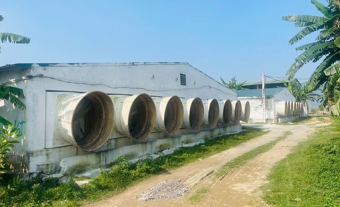 Hệ thống chuồng trại được đầu tư khá đồng bộ. Ảnh: Việt Khánh. Hệ thống chuồng trại được đầu tư khá đồng bộ. Ảnh: Việt Khánh.