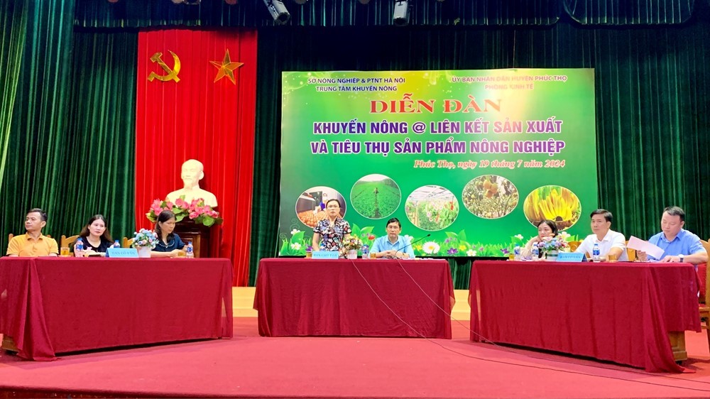 Hoạt động khuyến nông tích cực phát huy hiệu quả sau khi sát nhập các trạm Hoạt động khuyến nông tích cực phát huy hiệu quả sau khi sát nhập các trạm