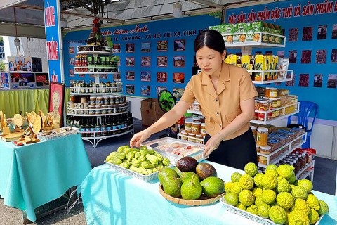 thi xa tinh bien an giang da dang san pham ocop tu san vat thien nhien