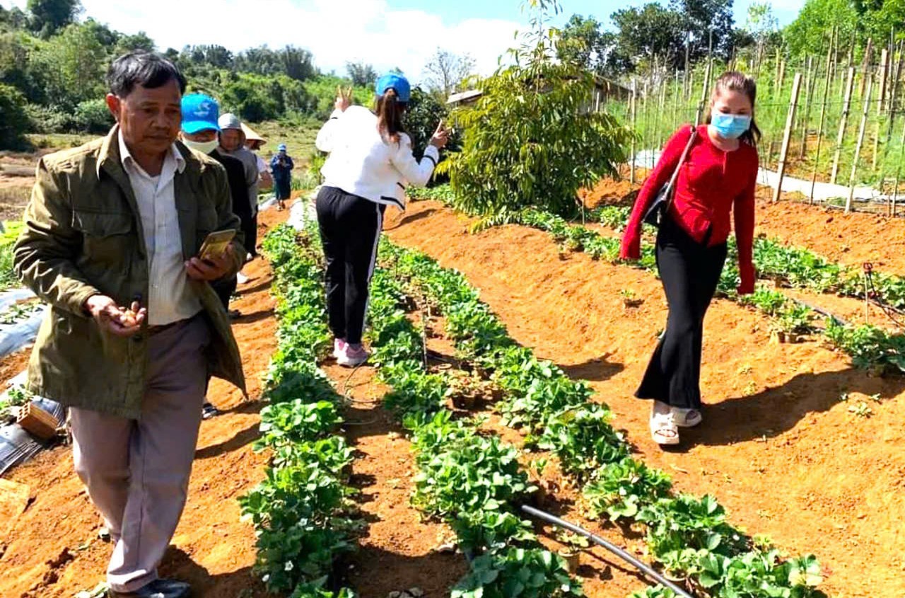 Bình Định: Làm du lịch cộng đồng nơi cổng trời Vĩnh Sơn