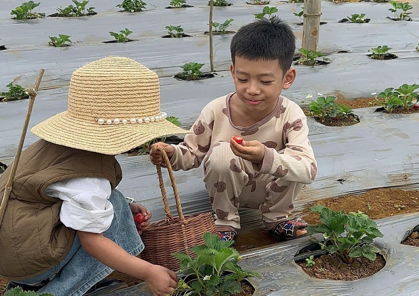 Bình Định: Làm du lịch cộng đồng nơi cổng trời Vĩnh Sơn Bình Định: Làm du lịch cộng đồng nơi cổng trời Vĩnh Sơn