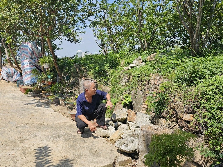 Vẻ đẹp độc đáo Lũy cổ Phương Mai Vẻ đẹp độc đáo Lũy cổ Phương Mai