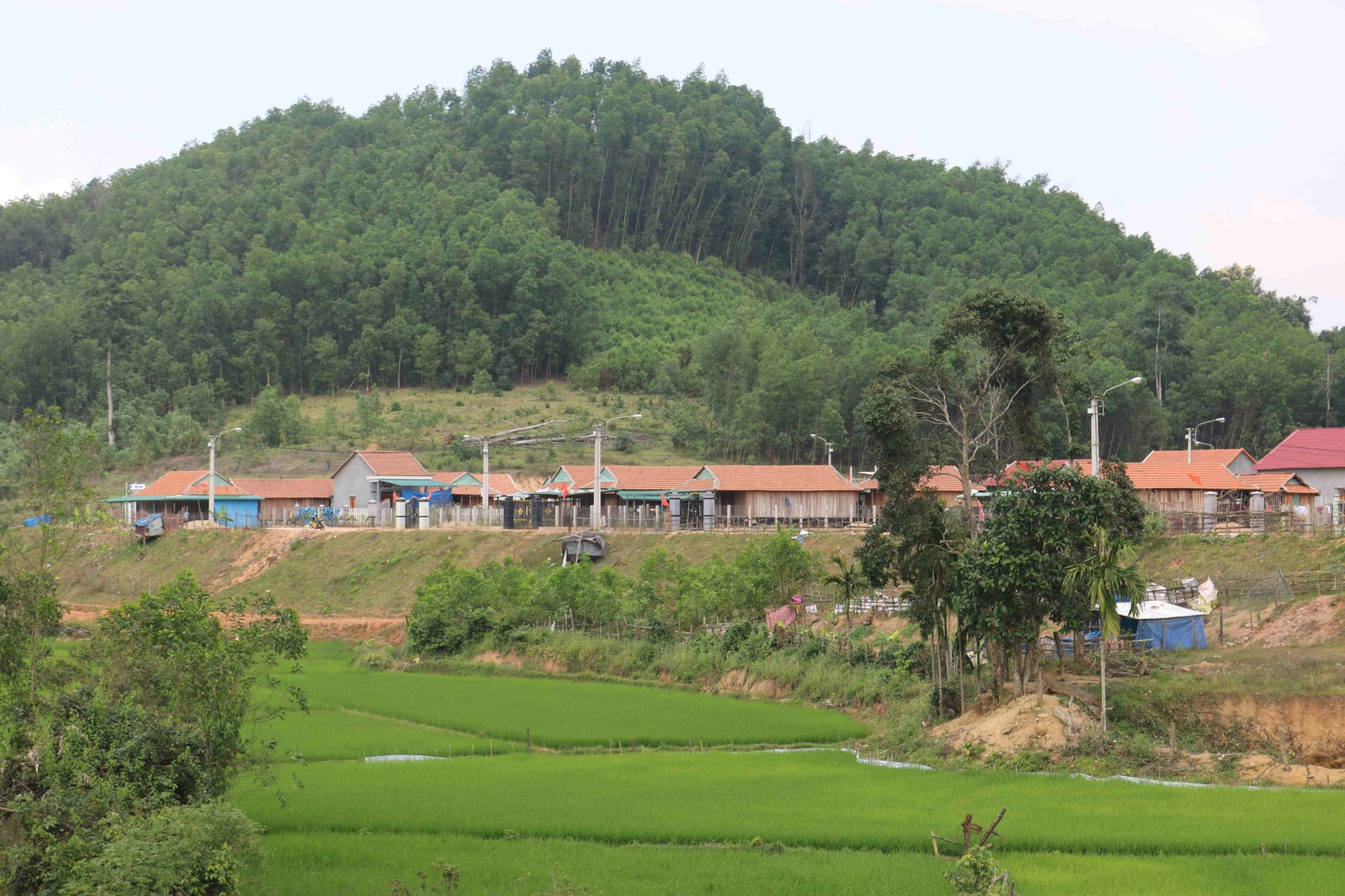 Bình Định: Sắc đỏ trên ngôi làng kiểu mẫu của đồng bào Hrê