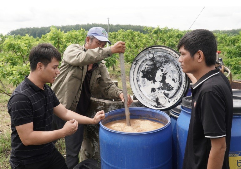 Mãng cầu hữu cơ Tây Ninh đạt chuẩn xuất khẩu