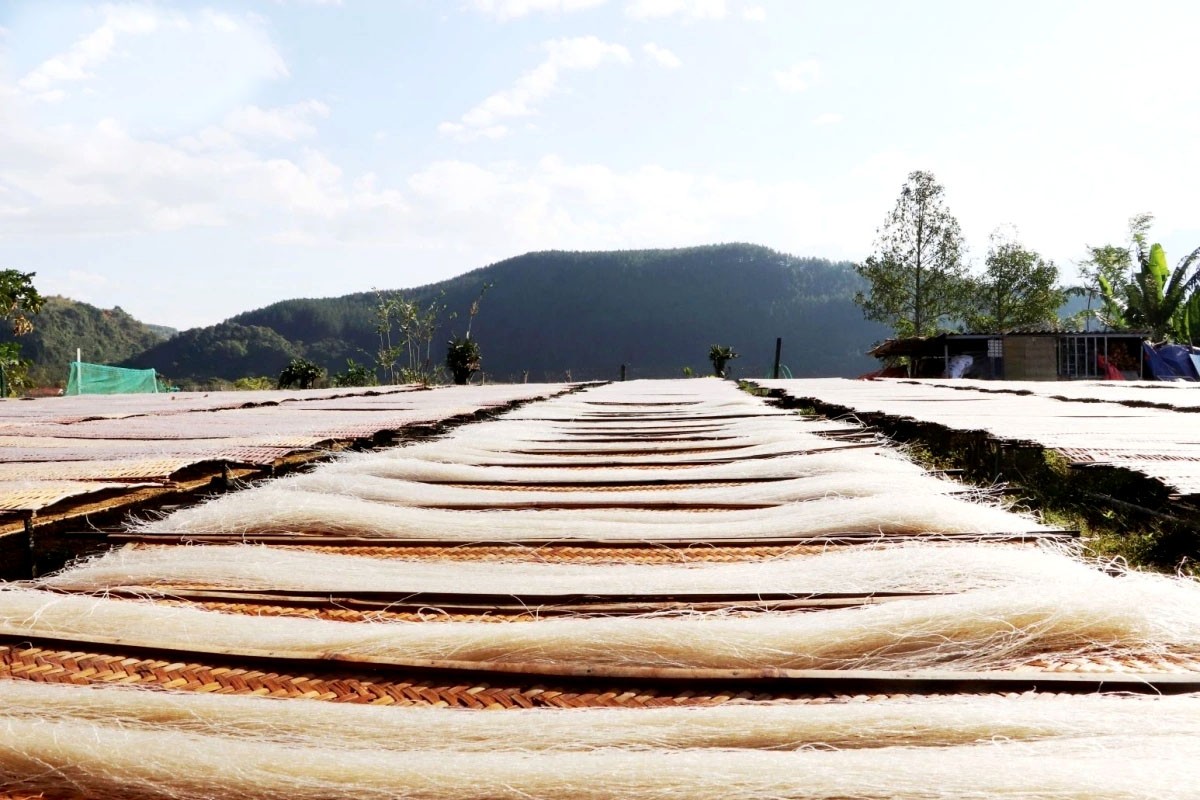 Sau khi bột miến nấu chín được đưa vào máy ép mỏng, cắt thành từng sợi để đưa lên giàn và được đưa ra ngoài trời hong phơi khô. Khắp các sân phơi, khoảng trống ở Bình Lư được lấp đầy những giàn miến. Độ dài và kích cỡ của miến được sản xuất tùy thuộc vào đơn đặt hàng và thị hiếu của người tiêu dùng. Sau khi bột miến nấu chín được đưa vào máy ép mỏng, cắt thành từng sợi để đưa lên giàn và được đưa ra ngoài trời hong phơi khô. Khắp các sân phơi, khoảng trống ở Bình Lư được lấp đầy những giàn miến. Độ dài và kích cỡ của miến được sản xuất tùy thuộc vào đơn đặt hàng và thị hiếu của người tiêu dùng.