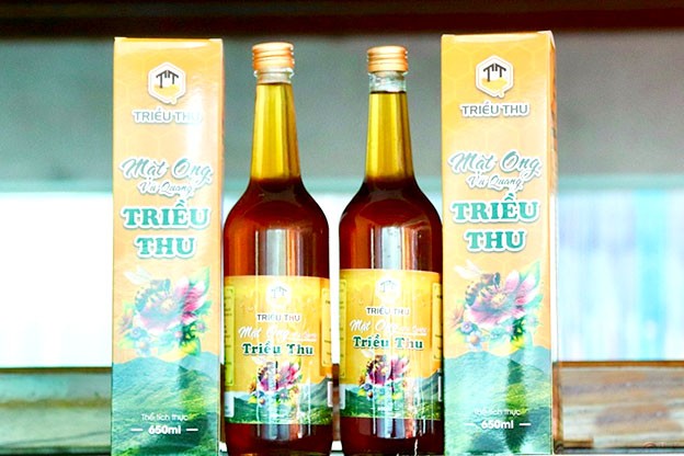Mật ong Triều Thu nâng tầm thương hiệu nhờ tham gia vào chương trình OCOP.