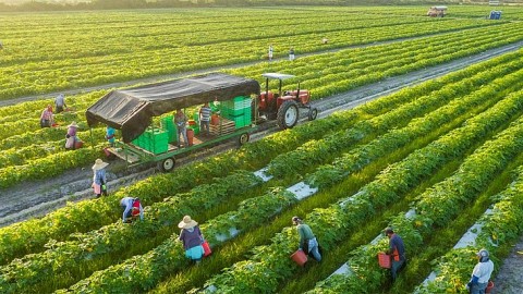 Huyện Xuân Lộc (Đồng Nai): Để nông dân có đời sống thịnh vượng hơn