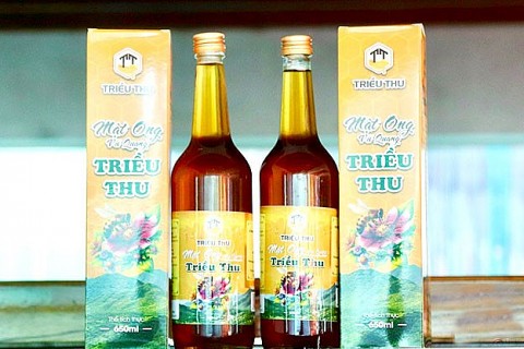 Xây dựng thương hiệu mật ong Triều Thu
