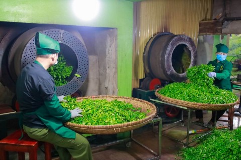 khuyen cong thai nguyen ho tro cac co so san xuat che phat trien