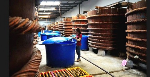 Kiên Giang: Trên 9,97 tỷ đồng thực hiện đề án khuyến công