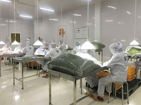 Khuyến công Lâm Đồng: Phối hợp với doanh nghiệp hoàn thành đề án đúng tiến độ