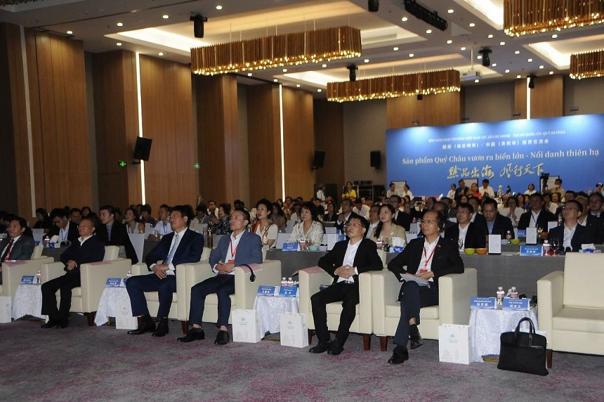 TP Quý Dương và TP. HCM: Cầu nối hợp tác bền vững Việt – Trung TP Quý Dương và TP. HCM: Cầu nối hợp tác bền vững Việt – Trung