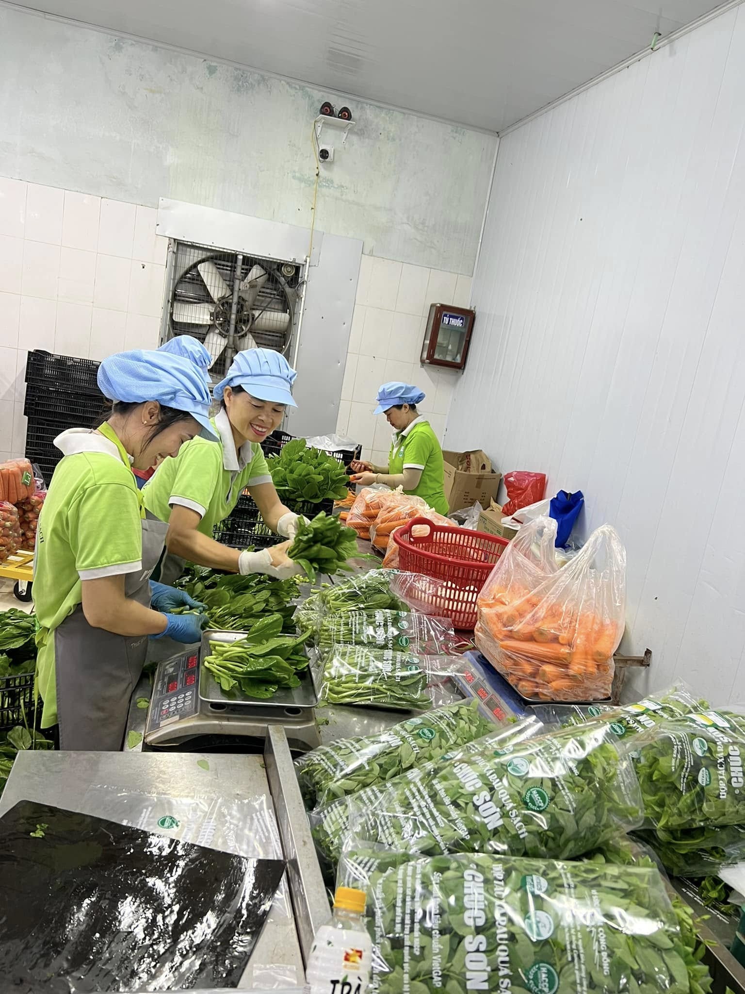 Đóng gói sản phẩm